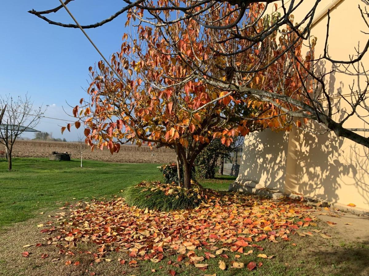 Agriturismo Cascina Mariale Villa Albiano D'Ivrea Exterior photo